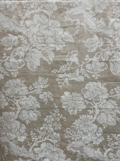 PRINT-CHINA ROSE