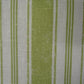PRINT-SHIVA STRIPE