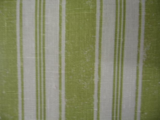 PRINT-SHIVA STRIPE
