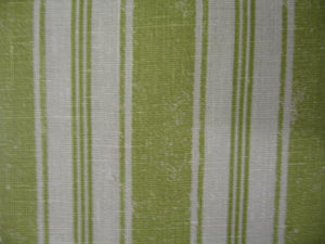 SHIVA STRIPE
